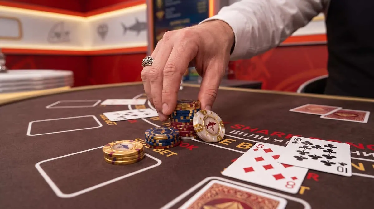 Casinohaj slots and table games guide for Swedish players
